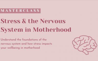 Stress & the Nervous System in Motherhood