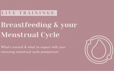 Breastfeeding & your Menstrual Cycle