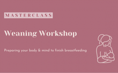 Weaning Workshop